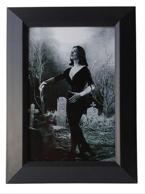 Vampira Vintage Horror Gothic Punk Witchy Goth Beautiful beauty pin up portrait